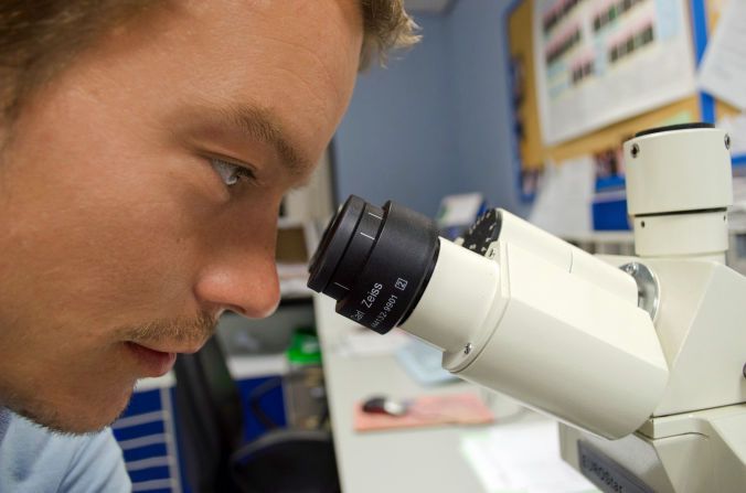 Laboratorios digitales para Ciencias